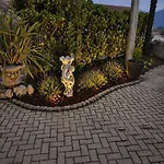 Lägenhet Casa Curti